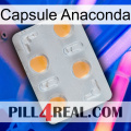 Anaconda Capsule 24